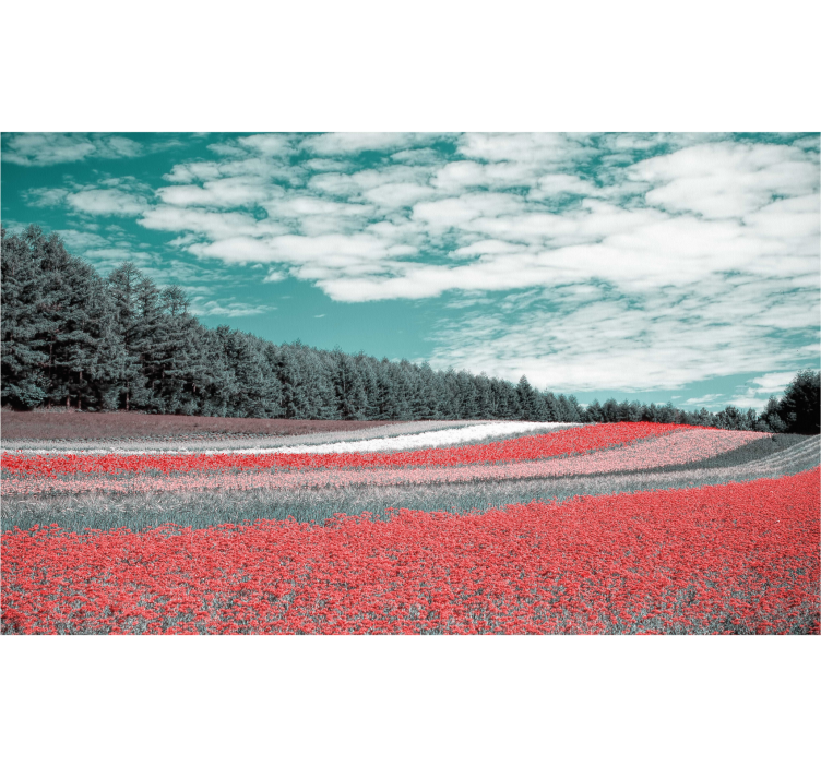 Rolgordijn woonkamer verschillende soorten bloemenveld - TenStickers