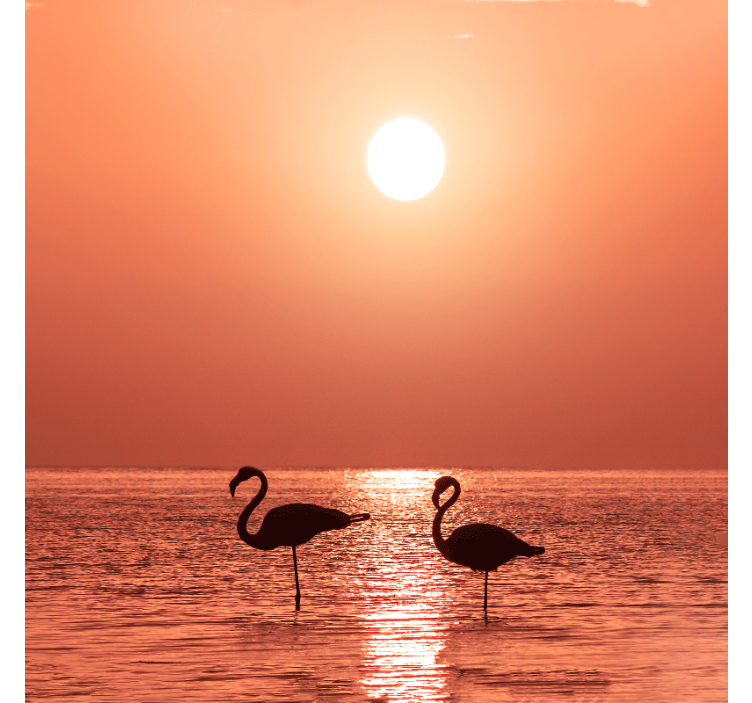 Rolgordijn woonkamer mooie flamingo met zonsondergang - TenStickers