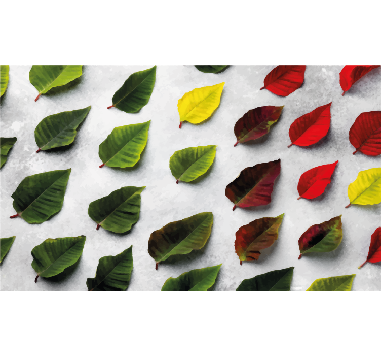 Rolgordijn woonkamer bovenaanzicht kleurrijke bladeren - TenStickers