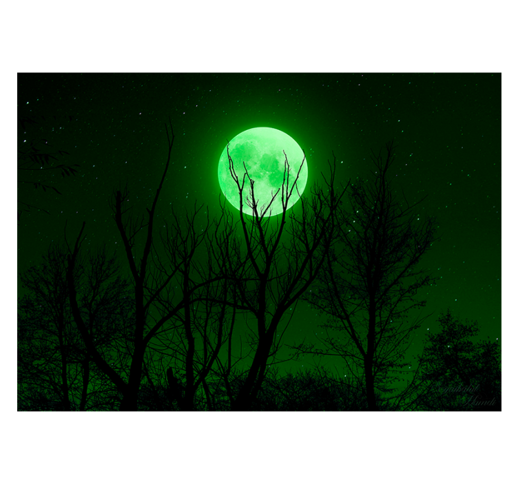 Zwart rolgordijn green moon - TenStickers
