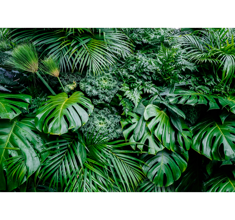 Rolgordijn groen rainy jungle - TenStickers