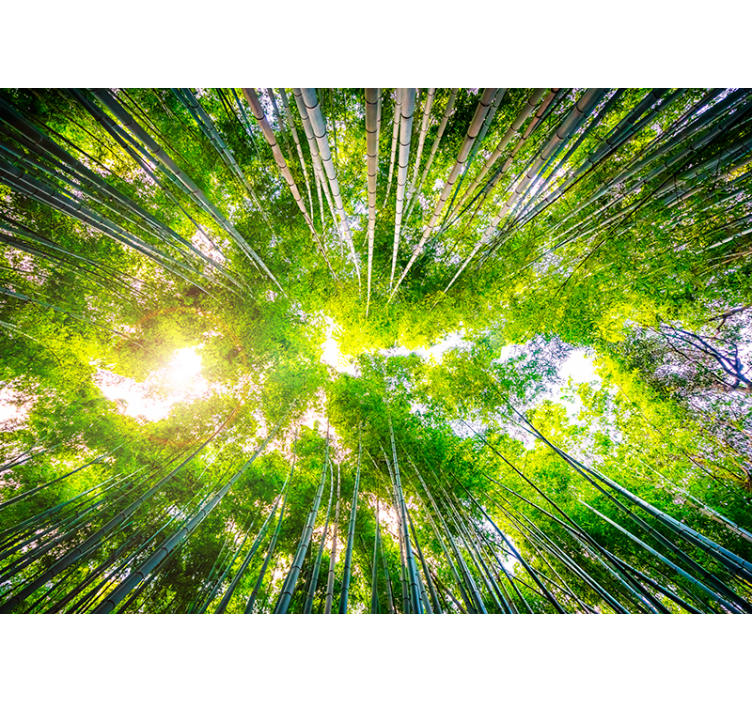 Rolgordijn woonkamer bamboe plafonddecoratie - TenStickers