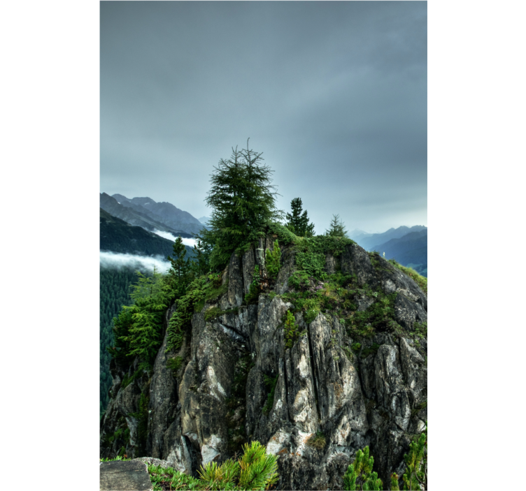 Rolgordijn woonkamer enkele steen in groen bos - TenStickers