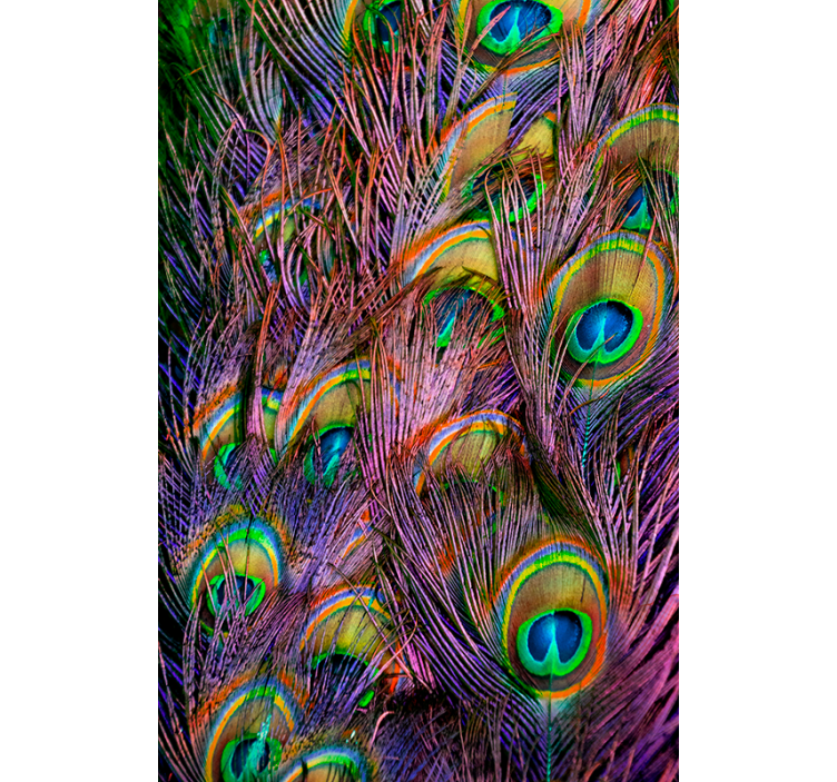 Rolgordijn woonkamer pauwenveer - TenStickers