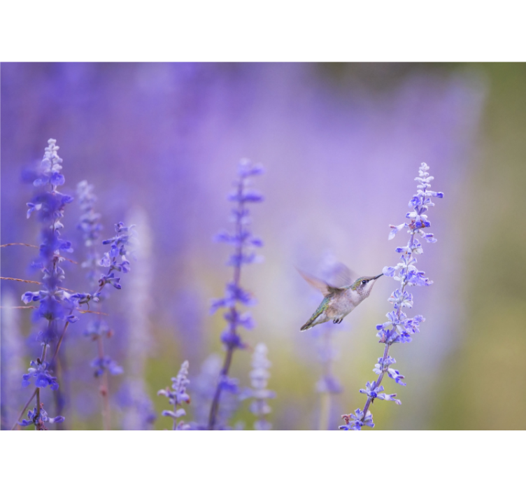 Rolgordijn woonkamer bloemen met vogel - TenStickers