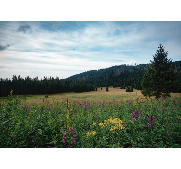 Rolgordijn woonkamer tatra park in de lente - TenStickers