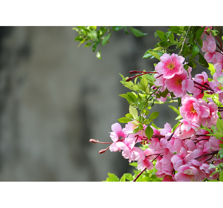 Rolgordijn woonkamer roze bloemen 3d - TenStickers