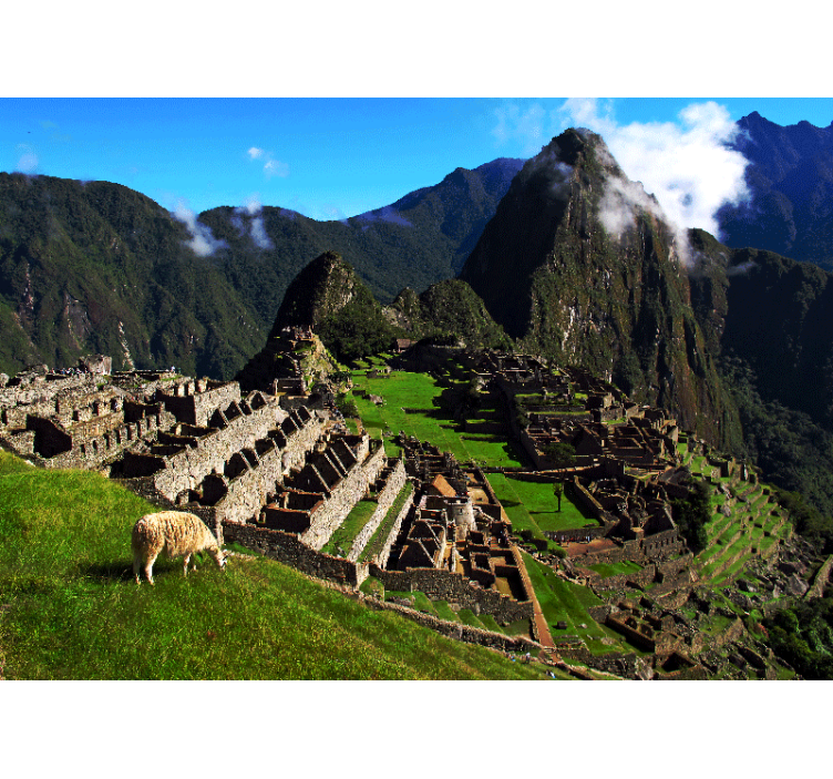 Rolgordijn woonkamer indigenous park - TenStickers