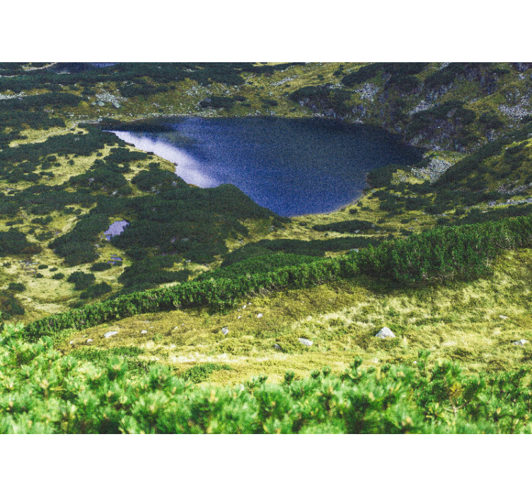 Rolgordijn woonkamer groen poolse tatra - TenStickers