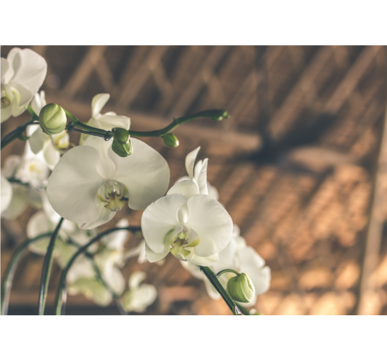 Rolgordijn woonkamer witte orchidee structuur - TenStickers