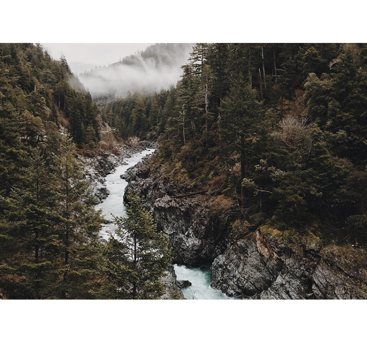 Rolgordijn woonkamer natte mist met bomen - TenStickers