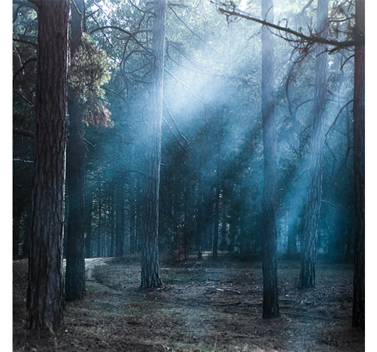 Rolgordijn woonkamer "natuur" schemering in het bos - TenStickers