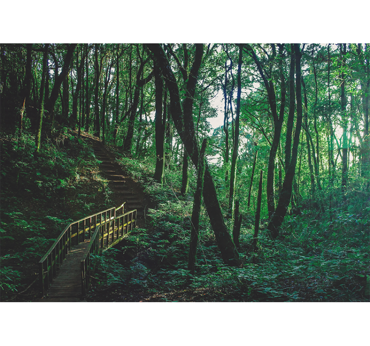 Rolgordijn woonkamer prachtig groen bomenlandschap - TenStickers