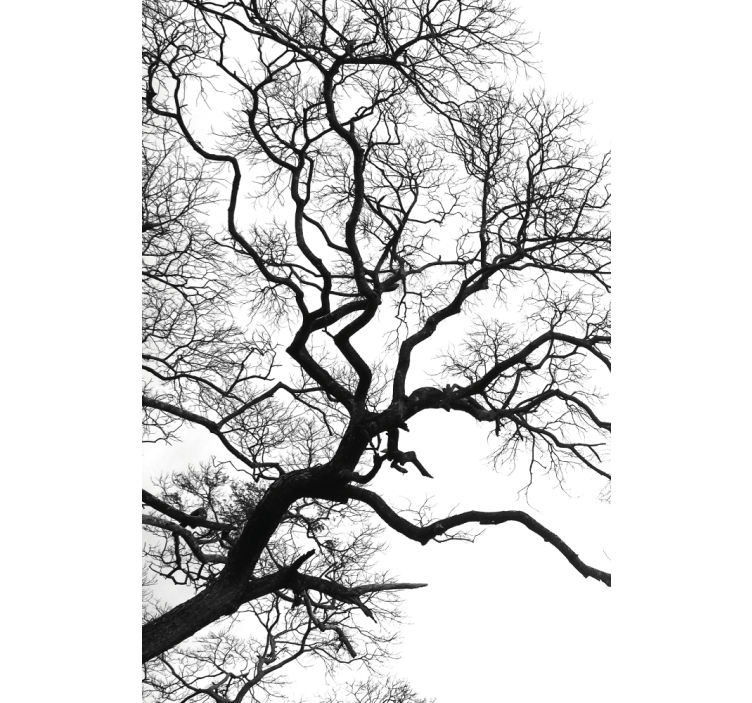 Rolgordijnen woonkamer met enkele houttak breuk - TenStickers