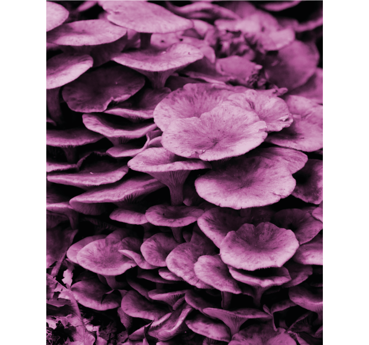 Levendige bloemenlagen rolgordijn bloemen en planten - TenStickers