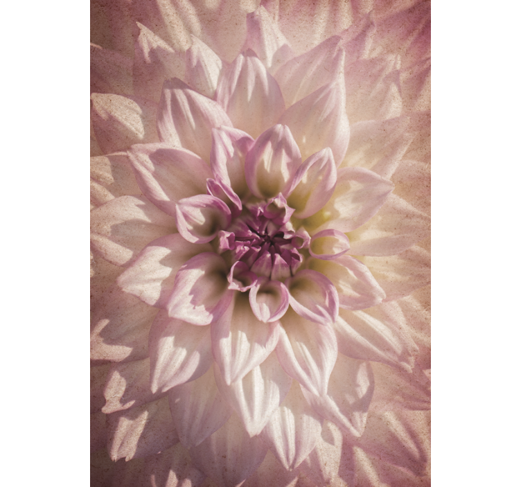 Delicate bloei rolgordijn bloemen en planten - TenStickers