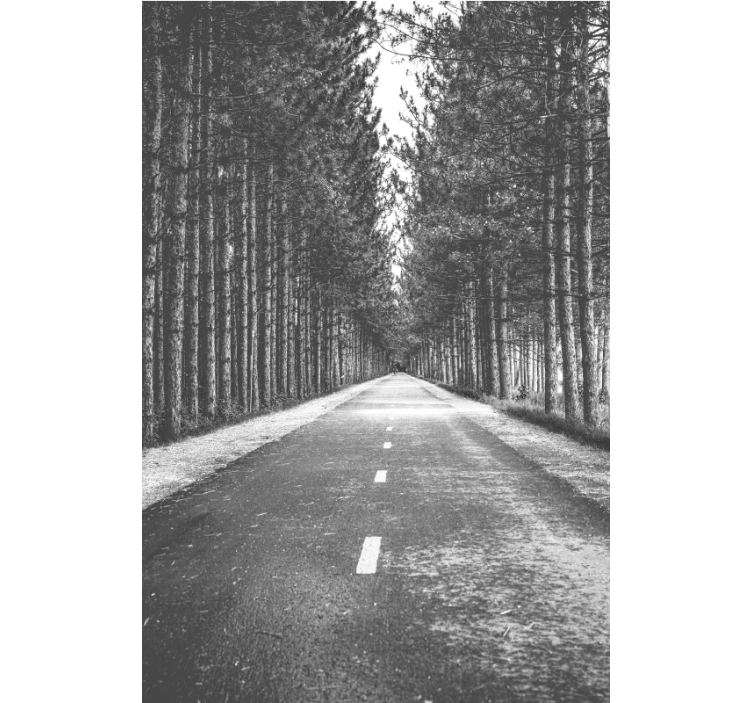 Rustig bospad rolgordijn anders - TenStickers