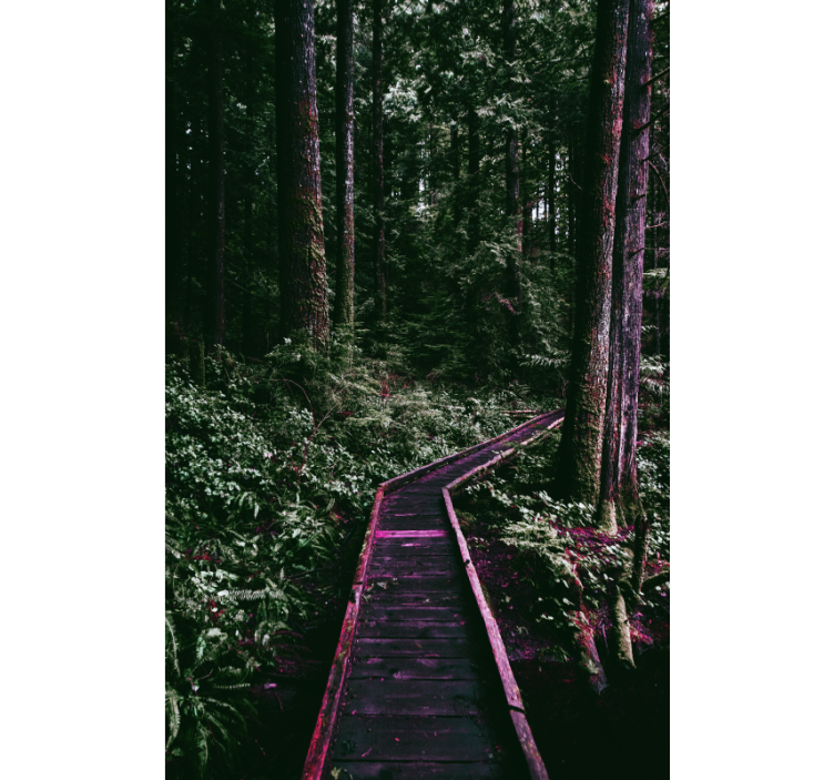 Rolgordijn bomen bospaadje - TenStickers