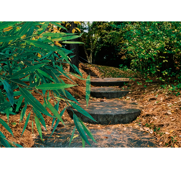 Rolgordijn met Bosontwerp - TenStickers