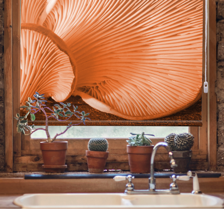 Paddenstoelkieuwen close-up rolgordijn fruit en groente - TenStickers