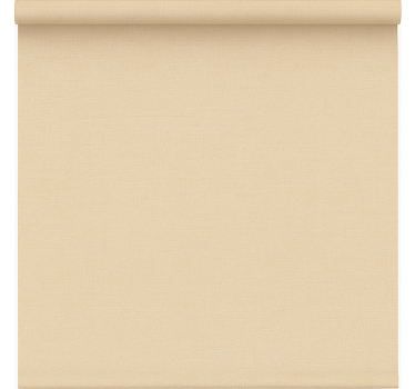 Rolgordijn kantoor eenvoudig beige doorzichtig - TenStickers