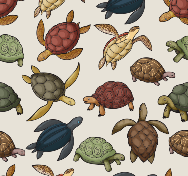 Rolgordijn kinderkamer met verschillende schildpadden - TenStickers