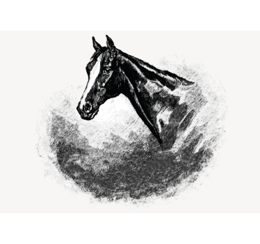 Wit rolgordijn graphite paarden - TenStickers