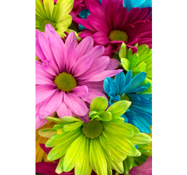 Rolgordijn woonkamer kleurrijke bloemen - TenStickers