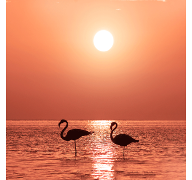 Rolgordijn woonkamer mooie flamingo met zonsondergang - TenStickers
