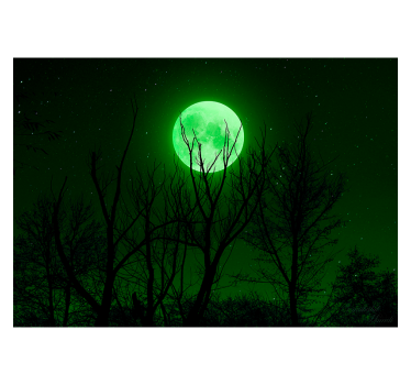 Zwart rolgordijn green moon - TenStickers