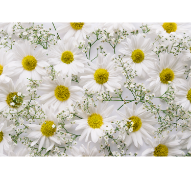 Rolgordijn woonkamer daisy bloem - TenStickers