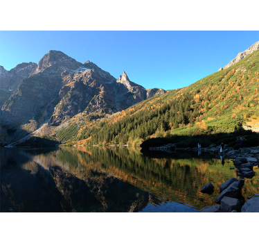 Rolgordijn groen morskie oko in de lente - TenStickers