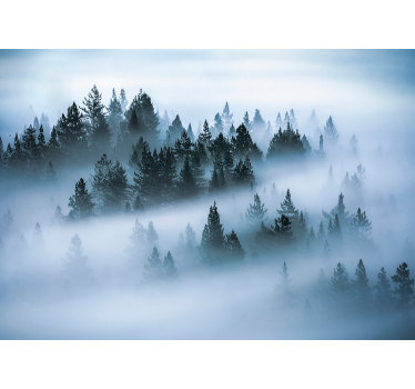 Rolgordijn woonkamer morning fog - TenStickers