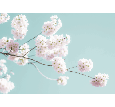 Rolgordijn woonkamer elegant en vrouwelijk bloemenontwerp - TenStickers