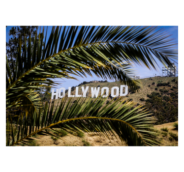 Rolgordijn woonkamer hollywoodsign en boom - TenStickers
