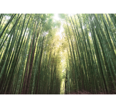 Rolgordijn woonkamer bamboo bos zen - TenStickers
