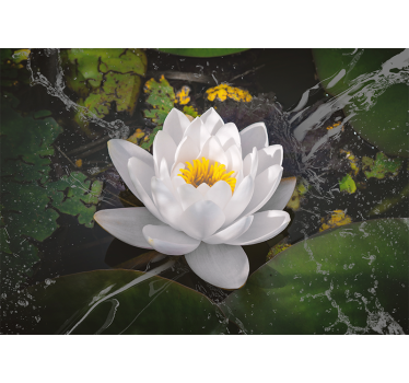 Rolgordijn woonkamer witte en gele lotus - TenStickers
