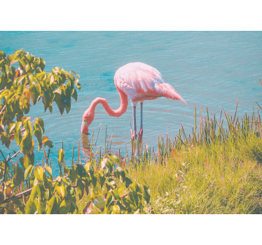 Rolgordijn woonkamer mooie flamingo bij het water - TenStickers
