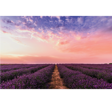 Rolgordijn woonkamer lavendel bloemen in frankrijk - TenStickers