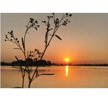 Rolgordijn woonkamer zonsondergang aan het meer - TenStickers
