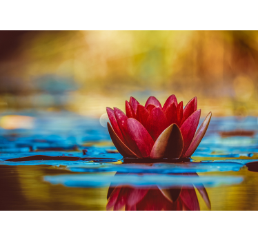Rolgordijn woonkamer zen weerspiegelde lotusbloem - TenStickers