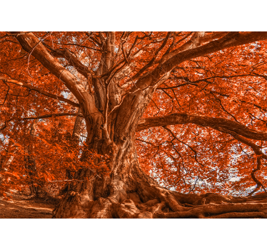 Rolgordijn woonkamer grote mooie herfstboom - TenStickers