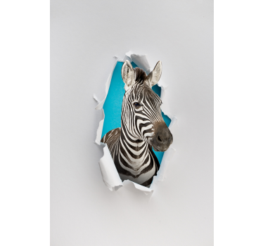 Zebra rolgordijn tienerkamer - TenStickers