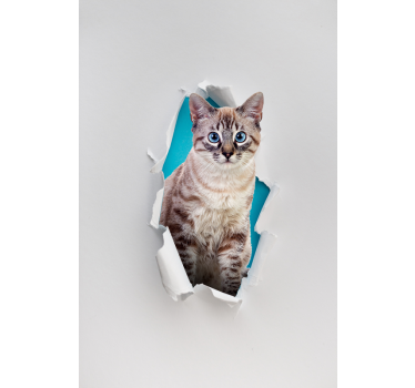 Rolgordijnen woonkamer met kat - TenStickers