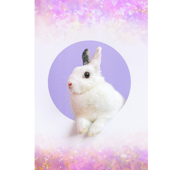 Konijn portret rolgordijn meer dieren - TenStickers