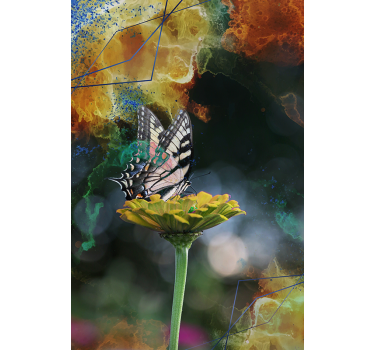 Vlinder bloemencompositie raambekleding vlinders - TenStickers