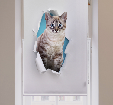 Rolgordijnen woonkamer met kat - TenStickers