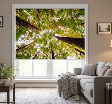 Rolgordijn woonkamer grote bomen in het bos - TenStickers