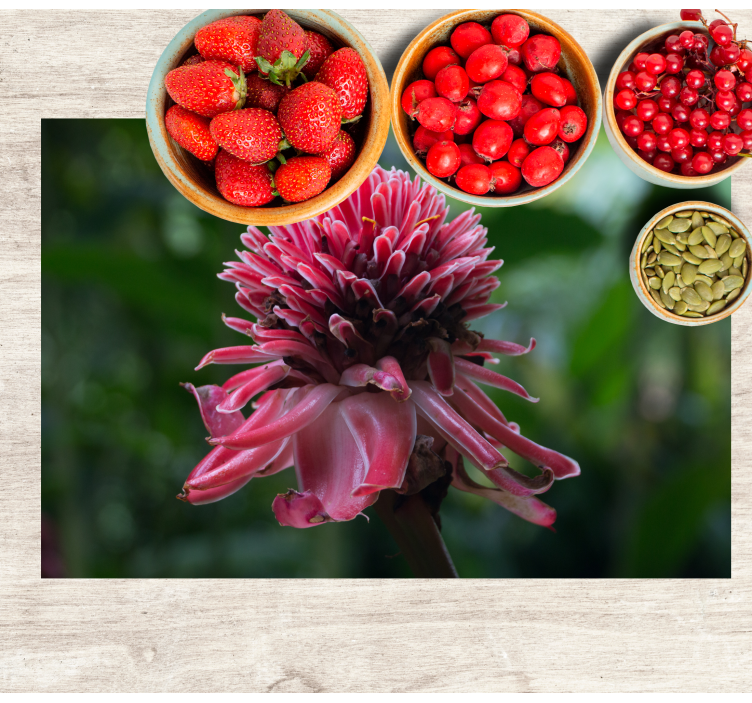 Originele placemat tropisch bloemarrangement - TenStickers