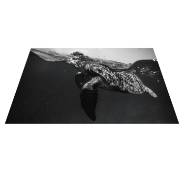 Placemat schildpad onderwater scene - TenStickers